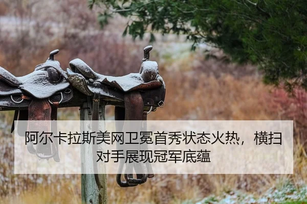 a-er-ka-la-si-mei-wang-wei-mian-shou-xiu-zhuang-tai-huo-re-heng-sao-dui-shou-zhan-xian-guan-jun-di-yun-2-130.jpg